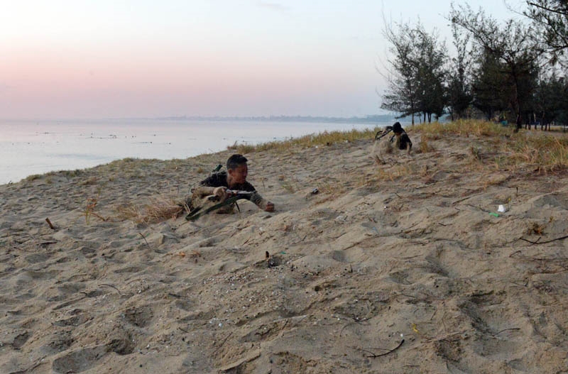 Ẩn mình, bất ngờ bật dậy từ trong cát...